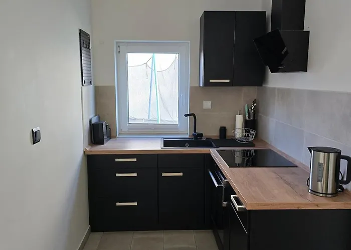 Haus Dresden, Pool, Garten, Terrasse, Familienfreundlich 度假居 德累斯顿